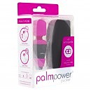   PalmPower Pocket, 9  2,5 