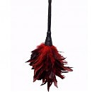 Метелочка «Frisky Feather», красный