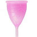 Менструальная чаша Femintimate Eve Cup