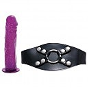    LAP DANCER, 16,5   3,5 