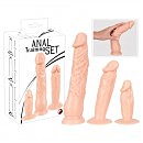    Anal-Training-Set Dildos