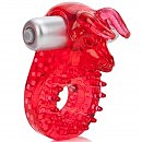 -    CalExotics Couples Raging Bull , 8,2  5 
