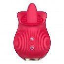       Petal Bliss Boys of Toys Red, 8,8  5,8 