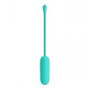 Виброяйцо Pretty Love Joyce Vibrating Egg Mint, 12 режимов вибрации, 18 х 2,2 см