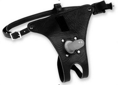  c    harness 