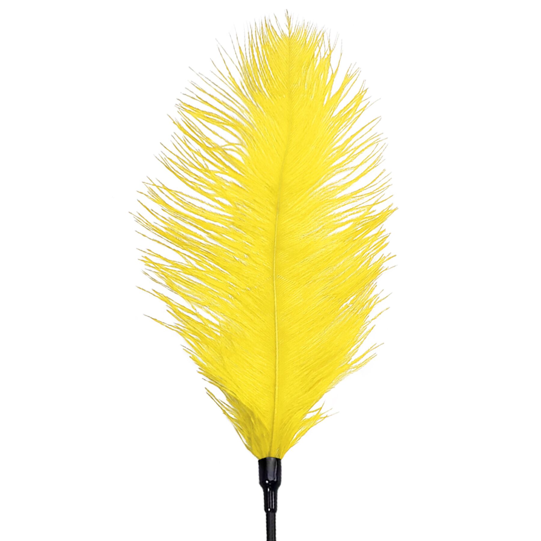 Feather Tickler