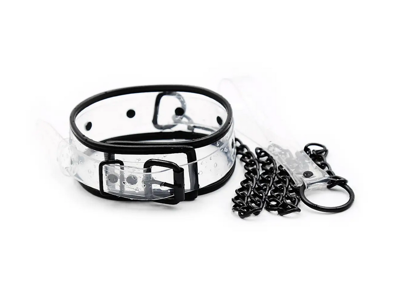    DS Fetish Collar with leash transparent