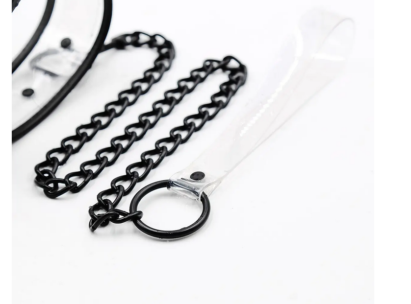    DS Fetish Collar with leash transparent