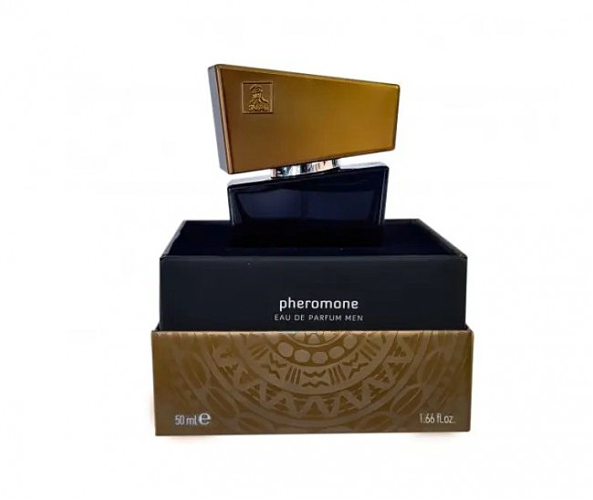      SHIATSU Pheromone Fragrance men grey 50 ml