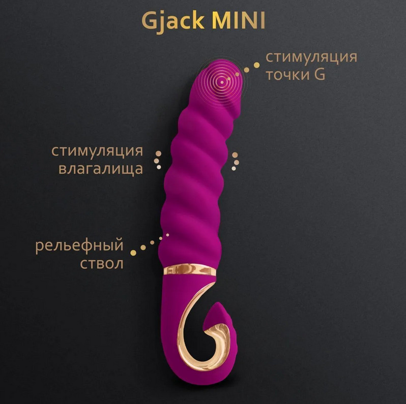    Gjack Mini  Gvibe 