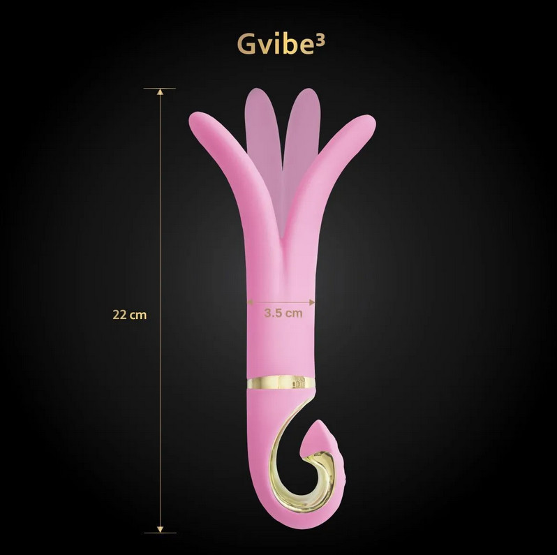 Gvibe 3 Pink Gift Box    , 183.5  ()