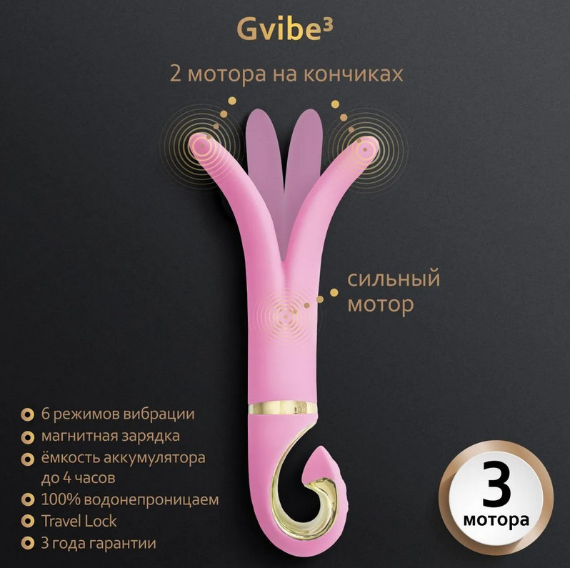 Gvibe 3 Pink Gift Box    , 183.5  ()