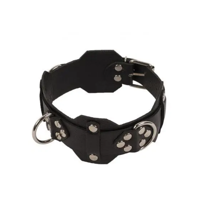   VIP Leather Collar, 45  6 