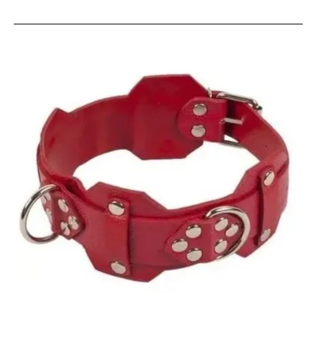   VIP Leather Collar, 45  6 