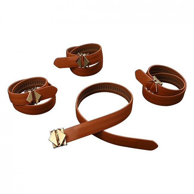        LOCKINK Hogtie Set,  , 