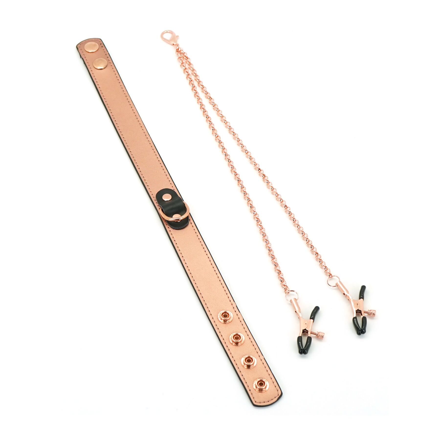      Liebe Seele Rose Gold Memory Collar with Nipple Clamps, 