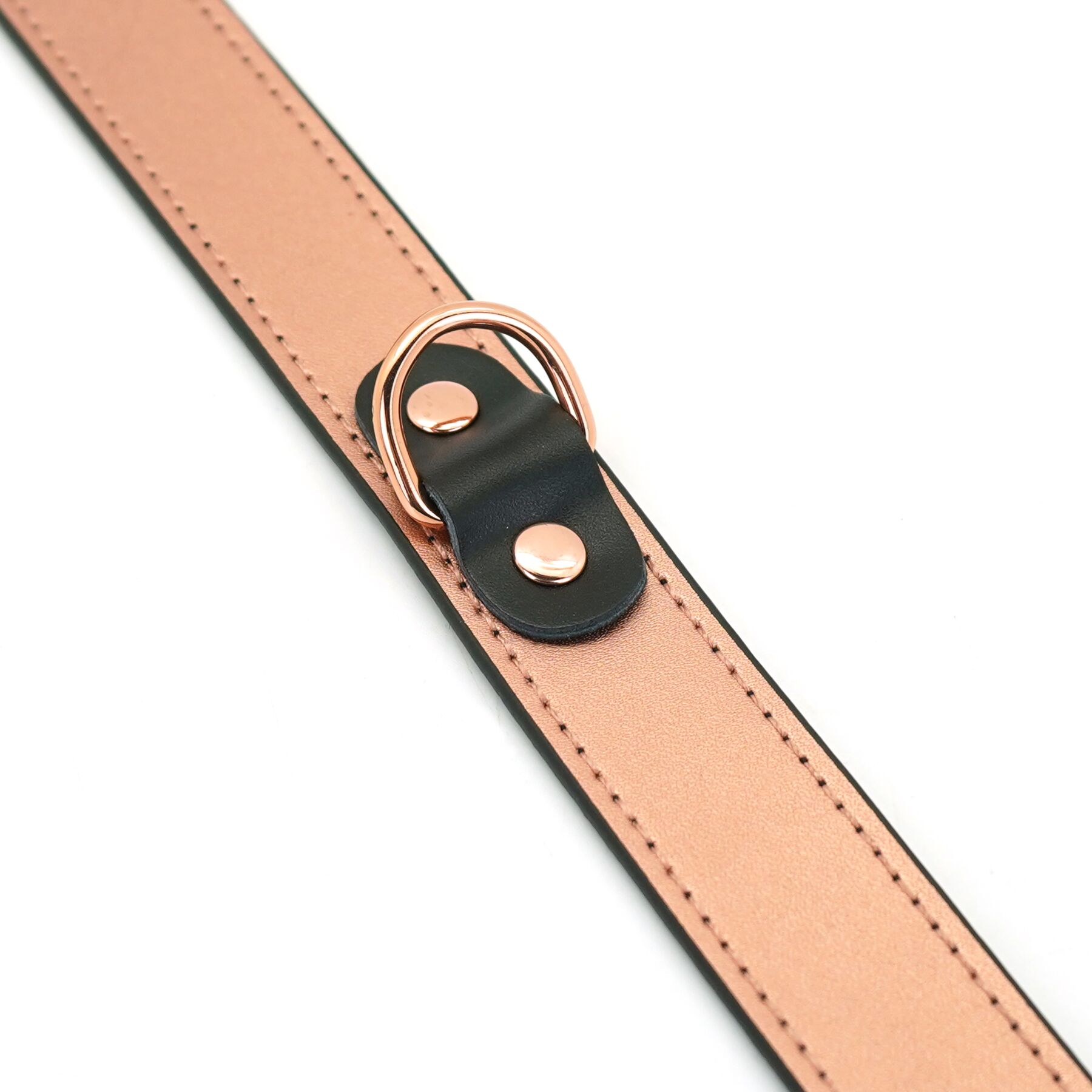      Liebe Seele Rose Gold Memory Collar with Nipple Clamps, 
