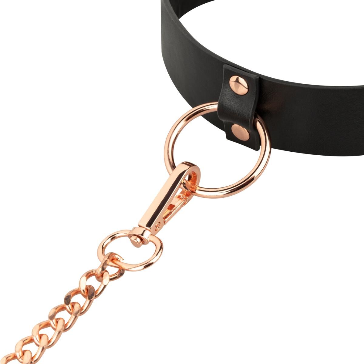    Rosy Gold Collar with Leash Black, 48  3,5 