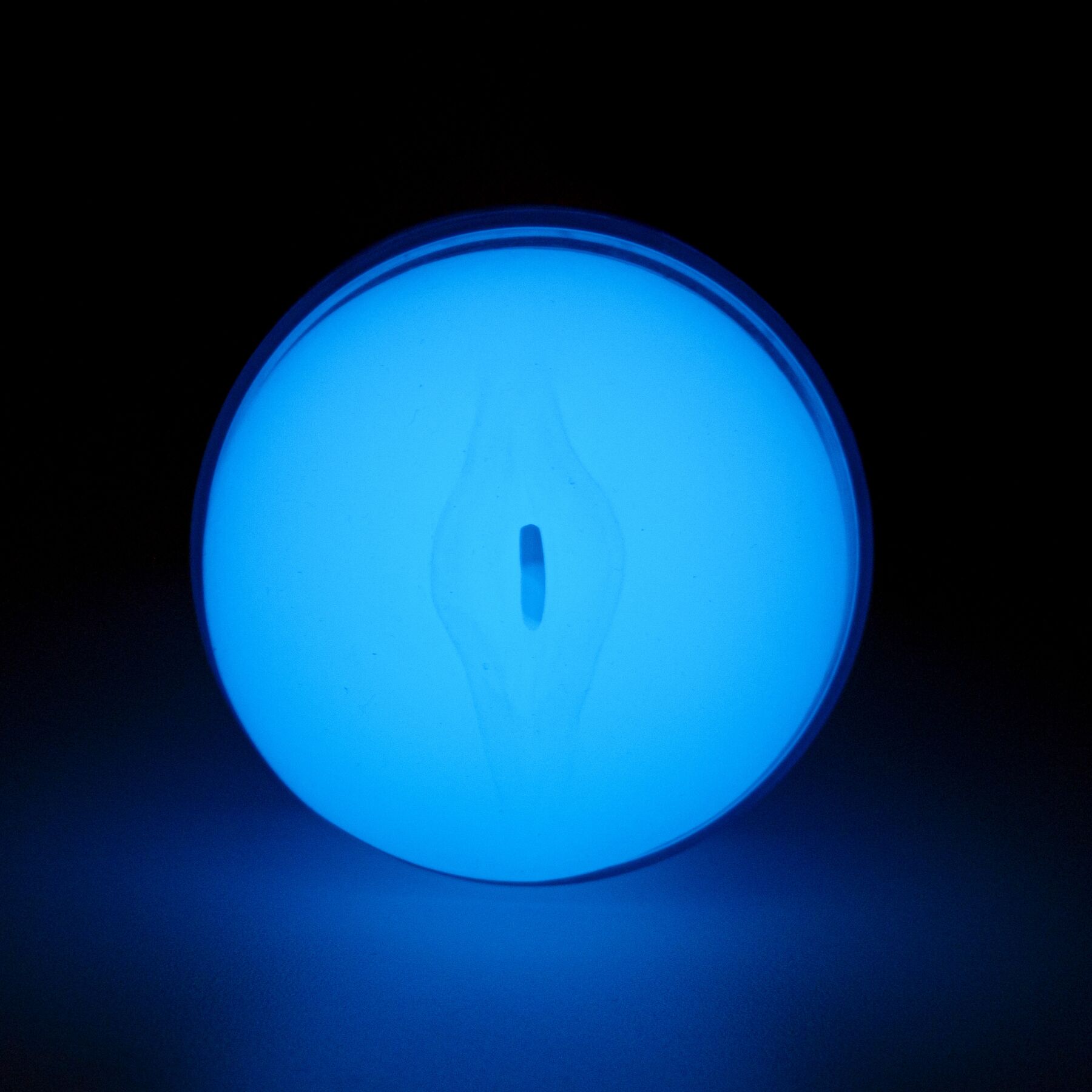  Kiiroo Feel Glow PBC   PowerBlow  Keon,   