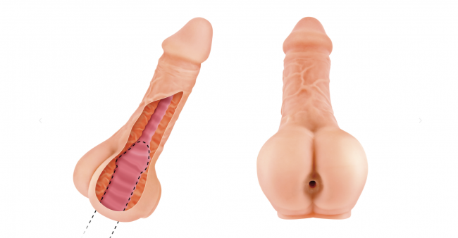    /  Real Body TWO In ONE, 20   4 