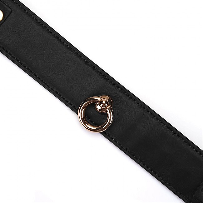    Liebe Seele Black Organosilicon Collar with Leash, 