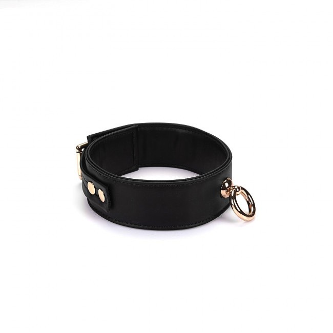    Liebe Seele Black Organosilicon Collar with Leash, 