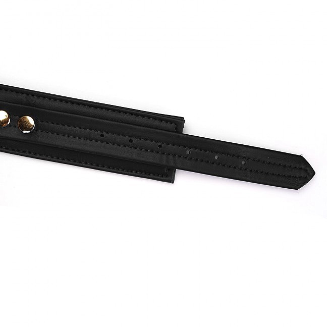    Liebe Seele Black Organosilicon Collar with Leash, 