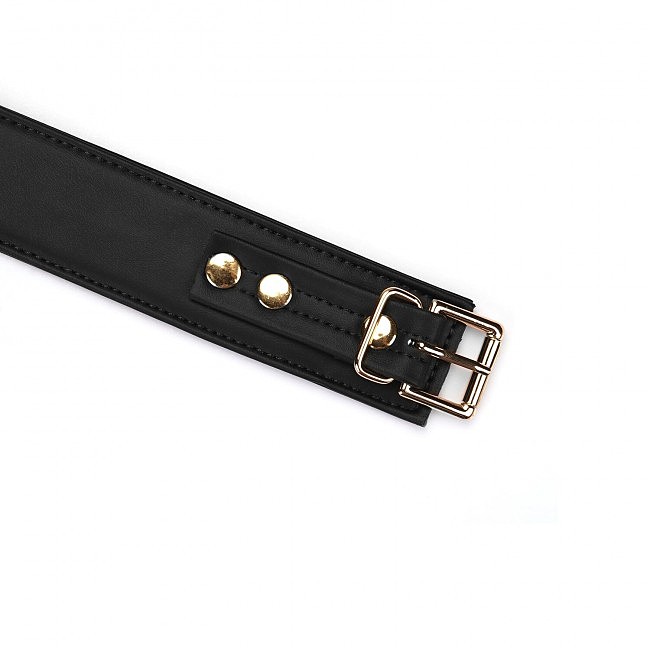    Liebe Seele Black Organosilicon Collar with Leash, 