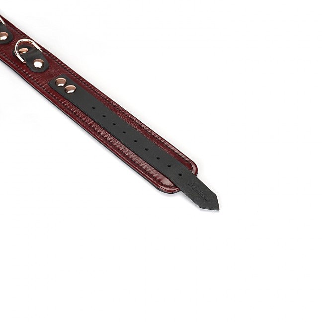     Liebe Seele Wine Red Collar and Leash, 3   