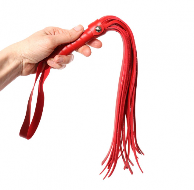    Flogger Art of Sex   