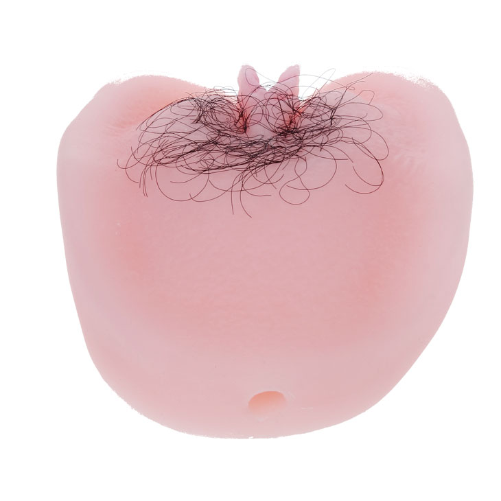    Anthea Magic Flesh Vagina & Ass +,  , 12,5 x 16 x 6 