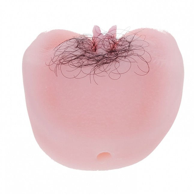    Anthea Magic Flesh Vagina & Ass +,  , 12,5 x 16 x 6 