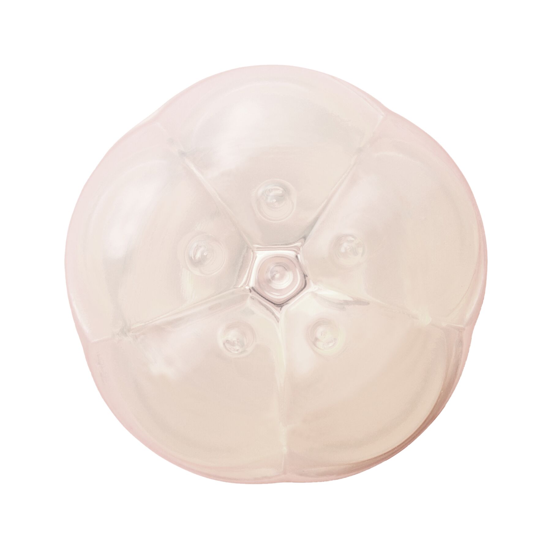     Iroha Petit Plum , , 5,3  3,5 