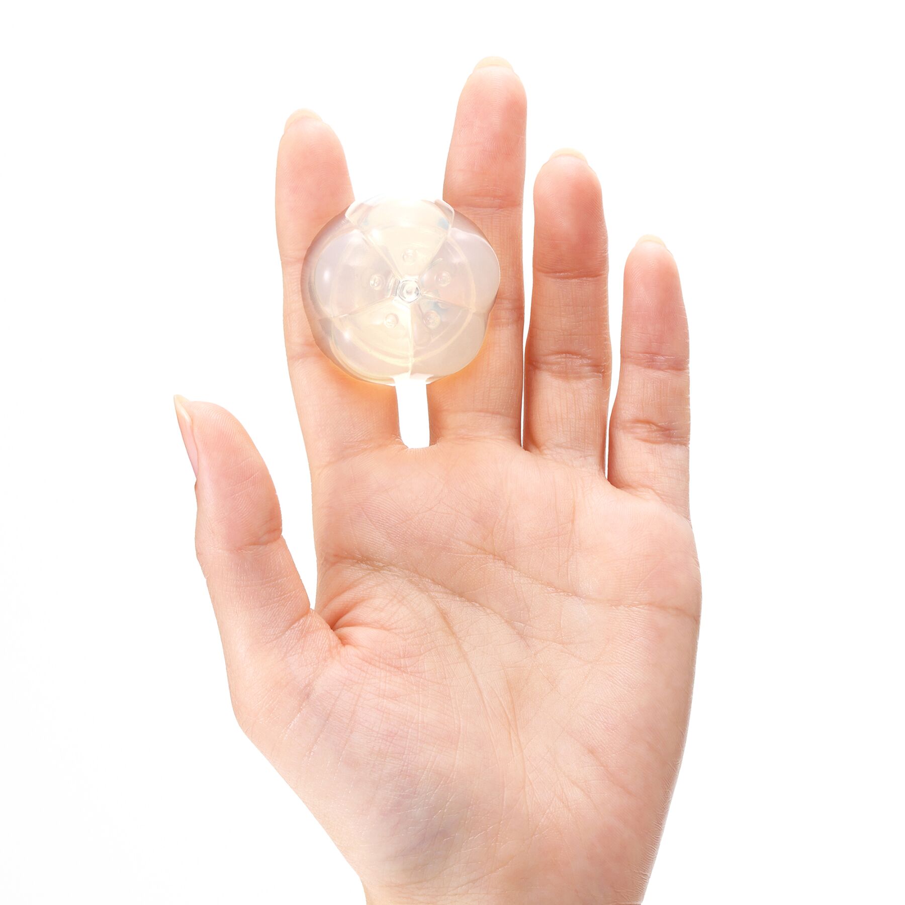     Iroha Petit Plum , , 5,3  3,5 