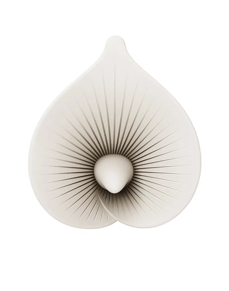     Zalo Calla Blossom, 2  , 10  1,8 