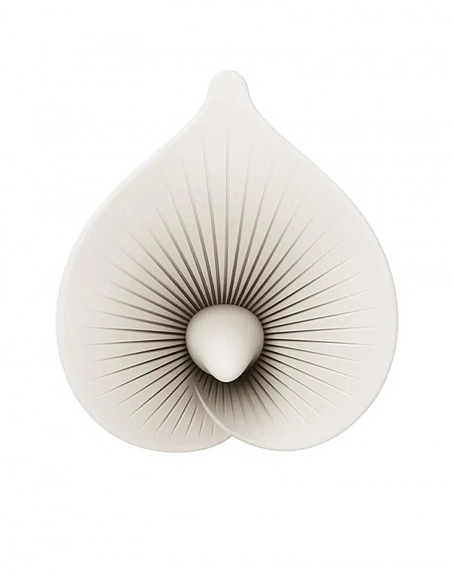     Zalo Calla Blossom, 2  , 10  1,8 
