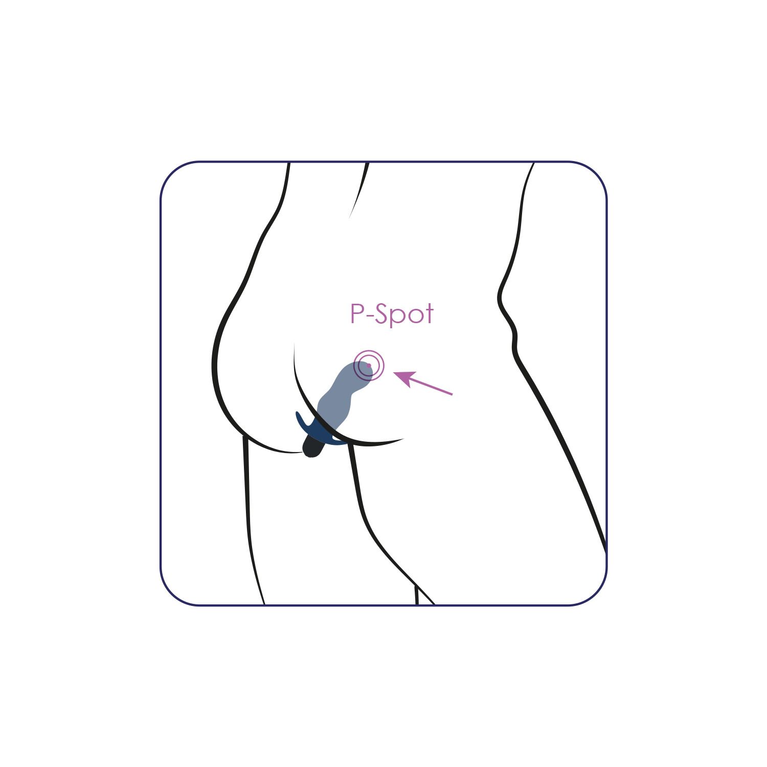 �������� ��������������� ��� ������� �������� Alive Gladius �����, 11 � 3,3 ��