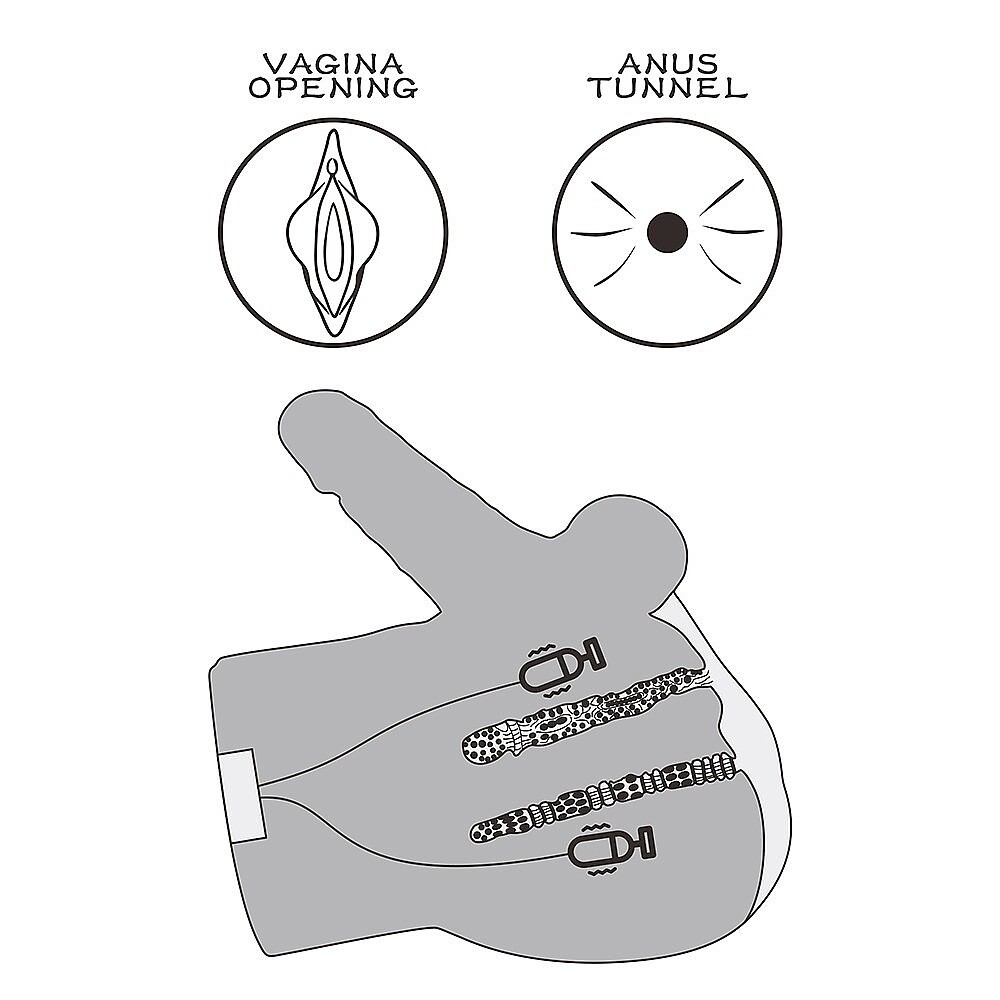 ����������� ����+������ � ������������ ����� Streetgirls Dual Motor Sensation Pulse With Dildo, 19,5 � 25,5 � 15 ��