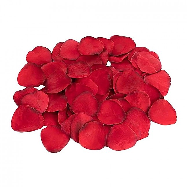    Dream Toys Amour The Hearts of Love, 