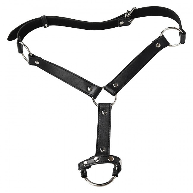  -   Erospace Wild Play Male Bondage Set C13, 