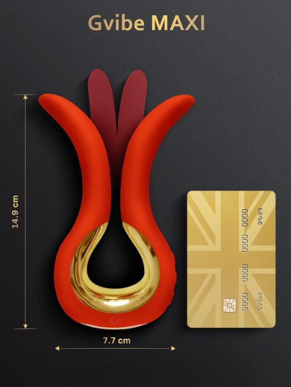 ������� ������������� �������� Gvibe MAXI, �������