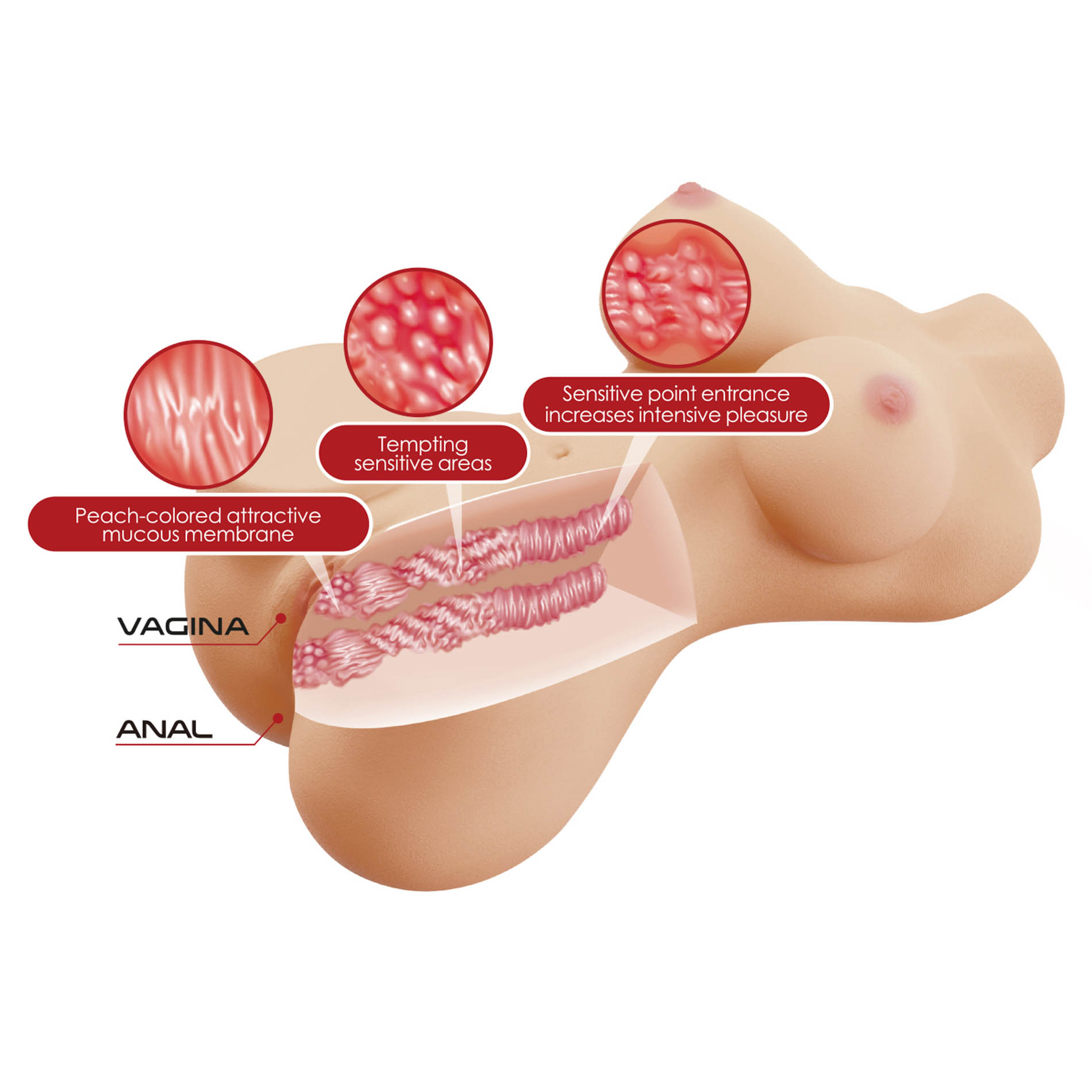 ������� �����������-���� Crazy Bull Hetty Vagina & Anal Masturbator Baile, ��������, 27 × 15 × 14 ��