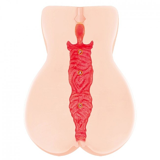 �����������-������ Kokos Onahole Edition 005 by Jenny, ��������, 18 � 12,5 ��