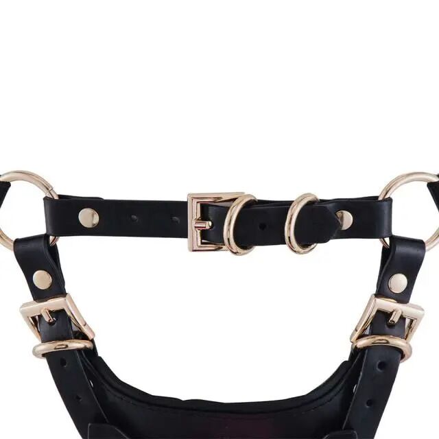 ����� �� ��������� LOCKINK SEVANDA Queen Sheba Set with Dildo, ����������� ����